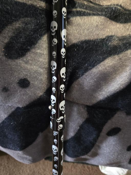 — skull walking stick new