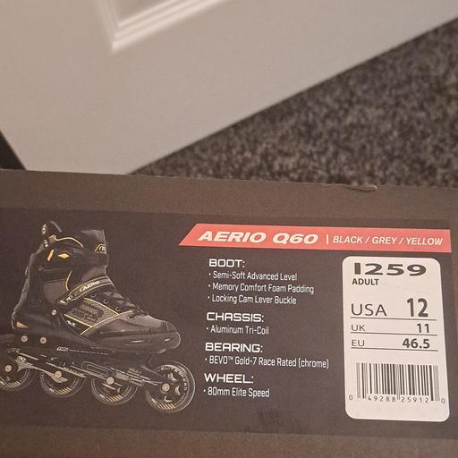  — inline skates