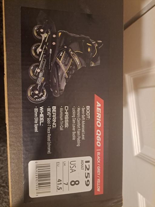  — Inline Skates