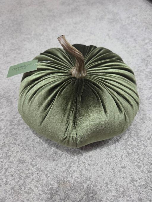  — 🌟NEW🌟 Green pumpkin