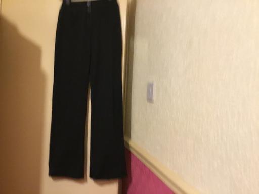  — Ladies Thin Trousers says M but thay S