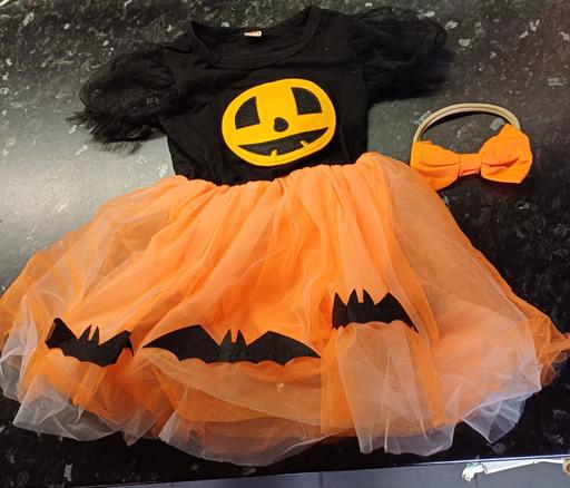  — baby pumpkin dress ages 12-18 & 18-24mths new