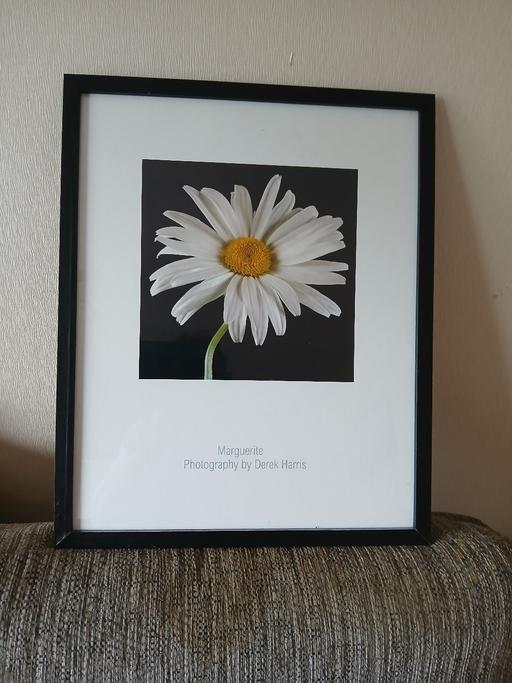  — Flower Picture