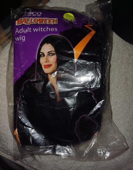  — adult witchs wig. new