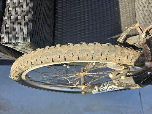  — mountain bike