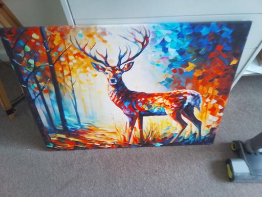  — stag canvas