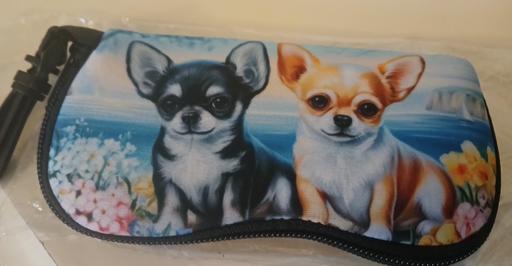 — Glasses Case )