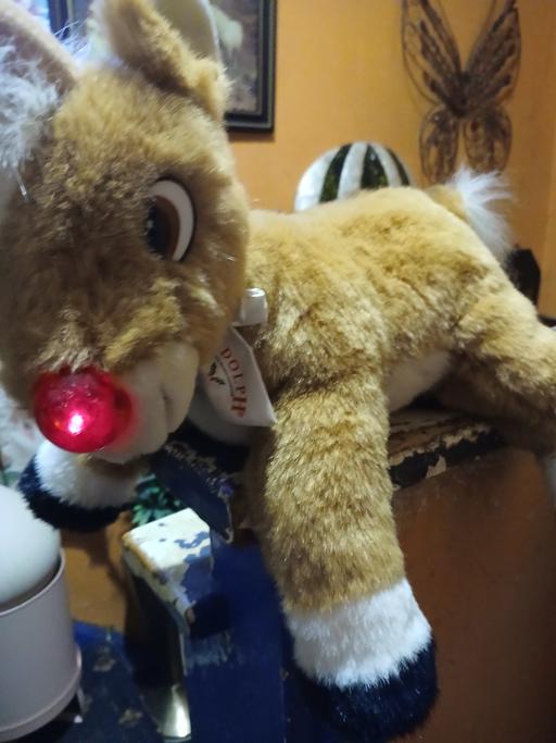  — randier nose lights up