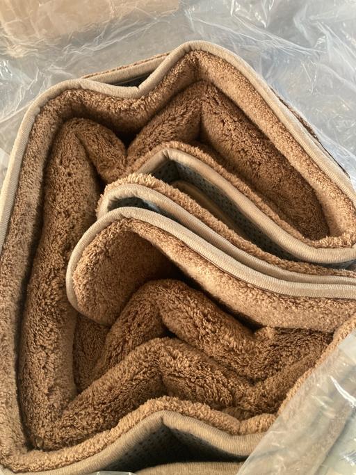  — Carpet