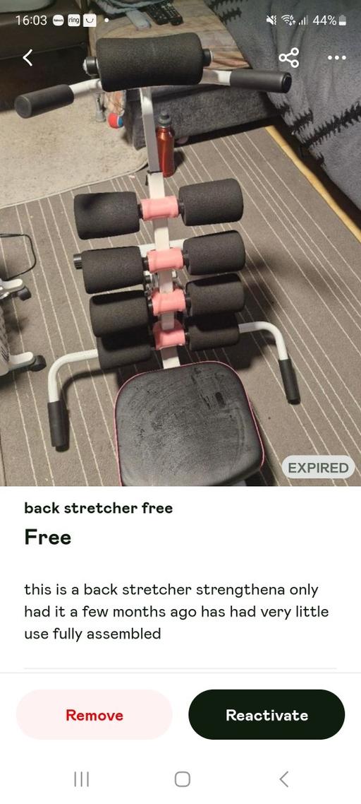  — free back stretcher