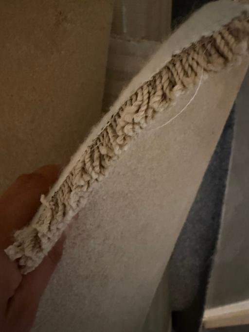  — Luxury neutral Biege carpet brand new