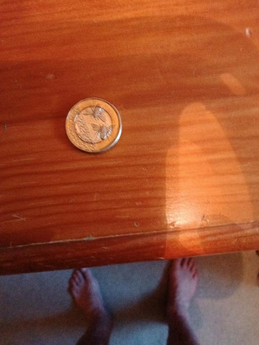  — one pound coin