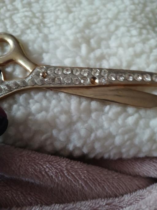  — scizzer broach