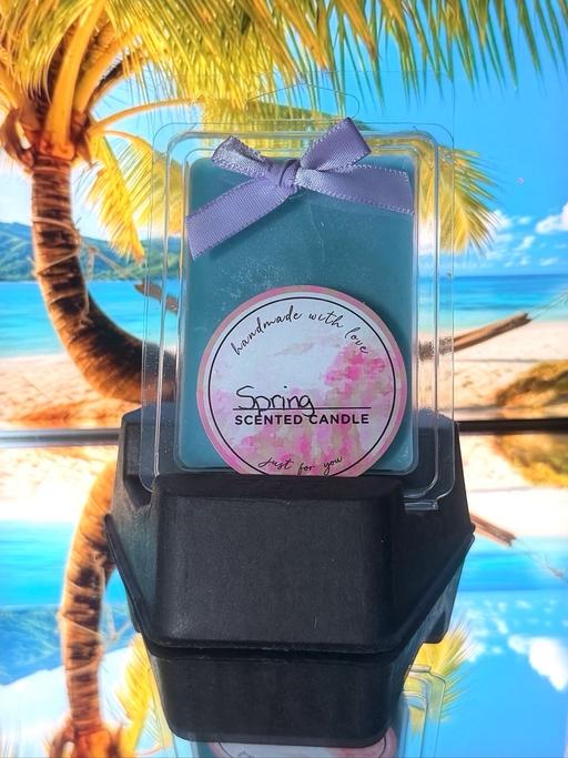  — Spring wax melt!