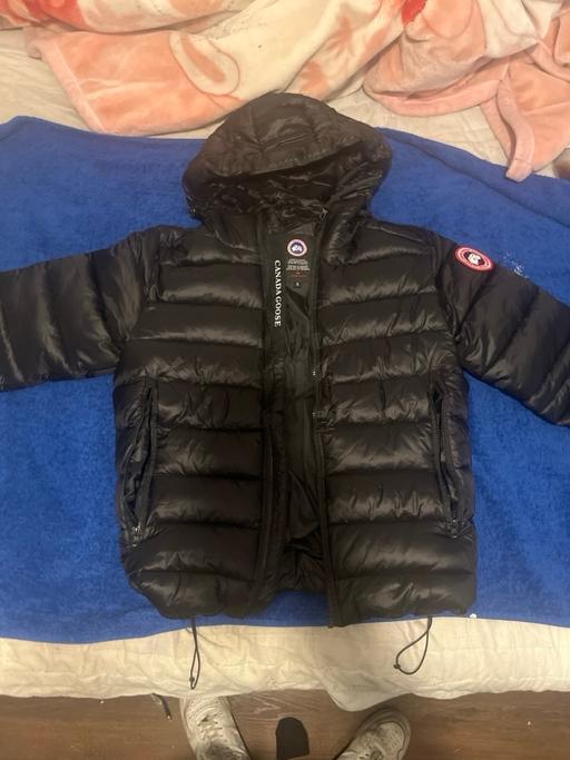  — Canada goose
