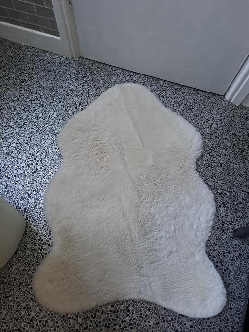  — fur rug