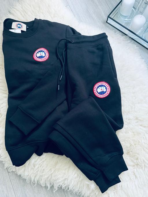  — Canada goose