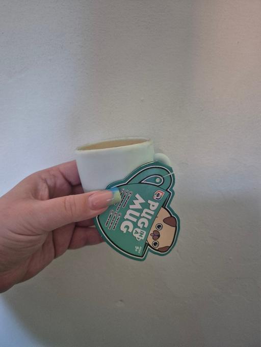  — new Pug In A Mug