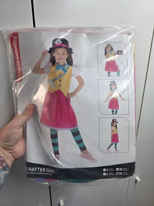  — Mad Hatter Girl Halloween costume 10-12 years