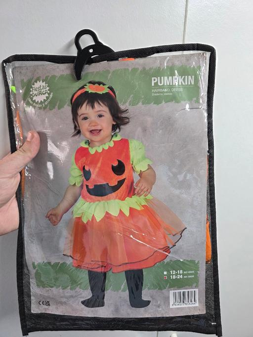  — Baby Pumpkin Fancy Dress Costume 18-24 months