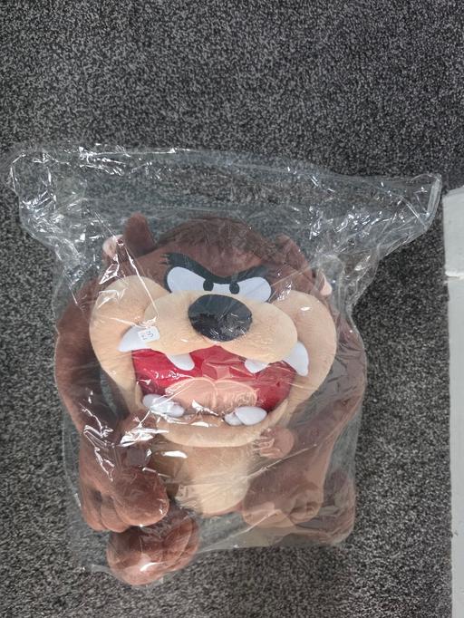  — tazmanion teddy