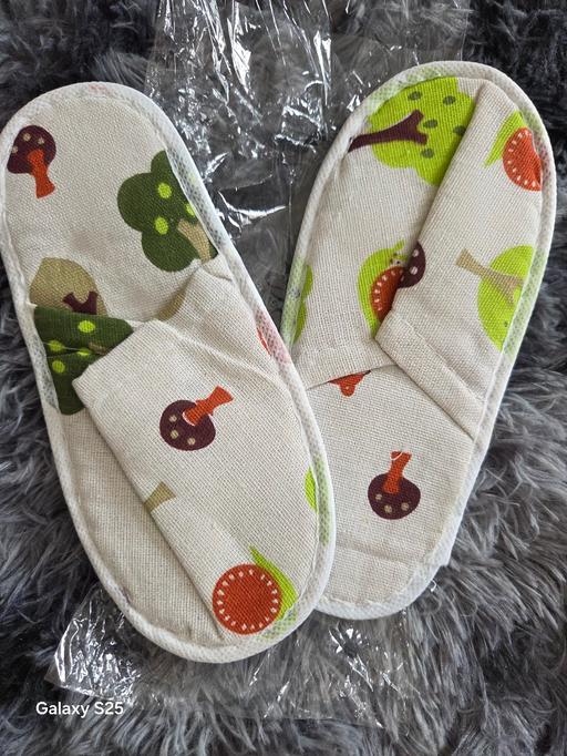  — slippers