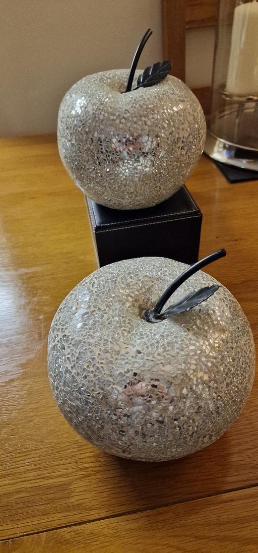  — 6" ornamental apples