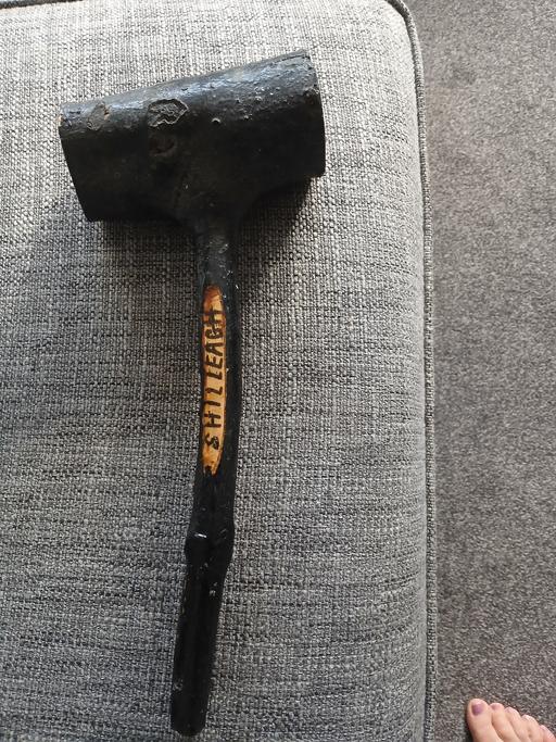  — Irish Shilleagh