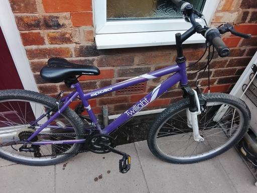  — ladies bike