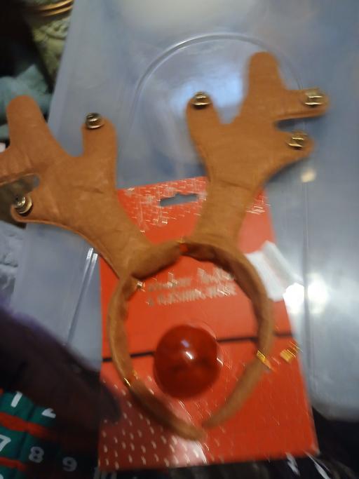  — xmas item  new
