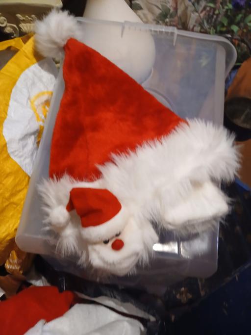  — xmas hat