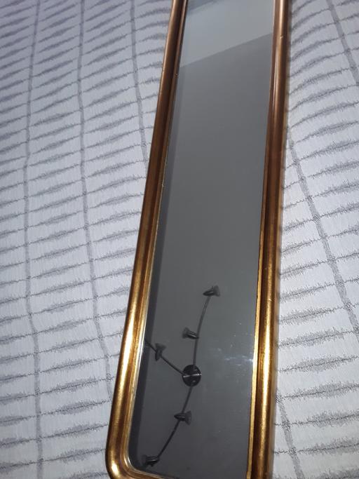  — full length skinny mirror