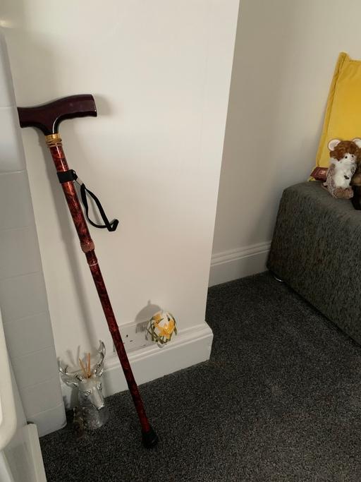  — Walking stick fold up buyer collect