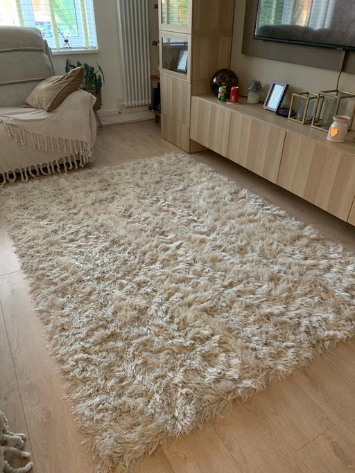  — Rug
