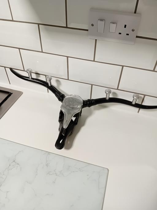  — metal skull coat hanger