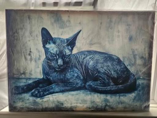  — Sphynx cat picture wall art