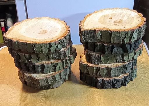  — 10 log slices