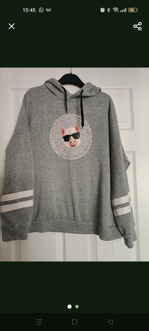  — hoody omg piggy