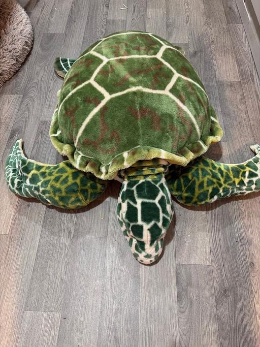  — Huge turtle