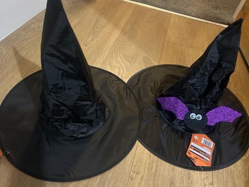 — Halloween witches hat. 2 designs. New