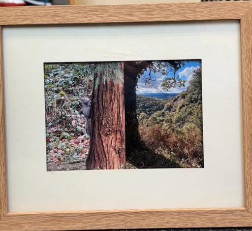  — Framed picture graph