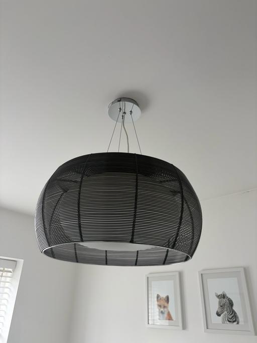  — Zuma line large hanging lamp