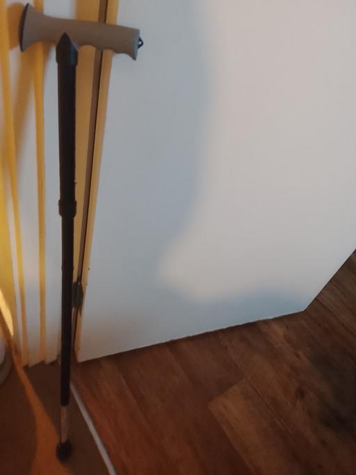  — walking stick