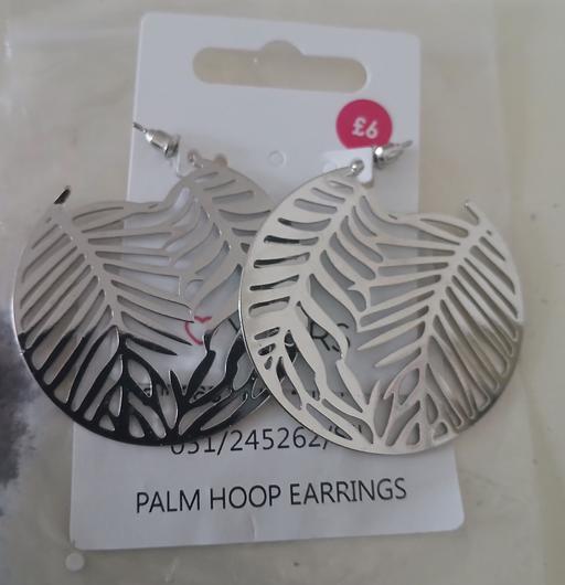  — Earrings)