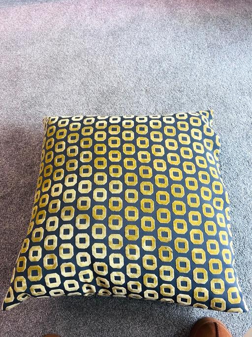  — Large cushions