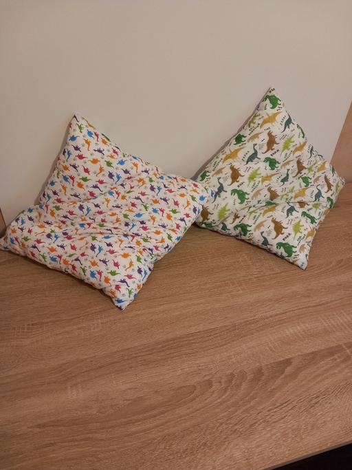  — Two kids hand made Dinosaur Cusions