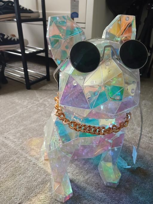  — dog style multi colour light
