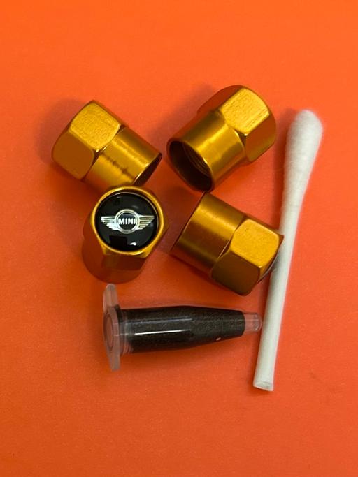  — Mini tyre valve caps with grease