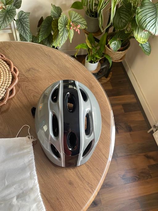  — Helmet