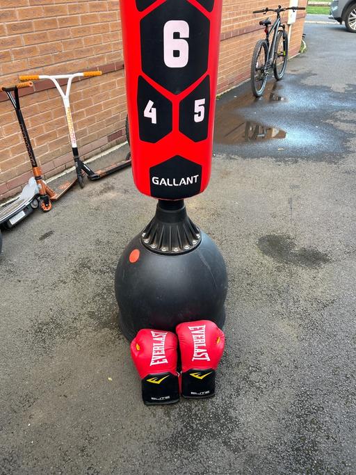  — Punching bag